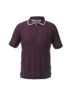 پولوشرت ویسکُنت